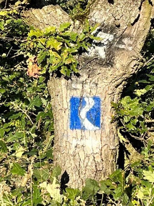 RheinbrohlRheinauszeit公寓 外观 照片
